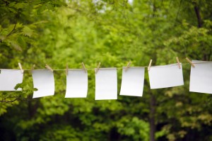 blank paper sheet hanging on a rope in garden