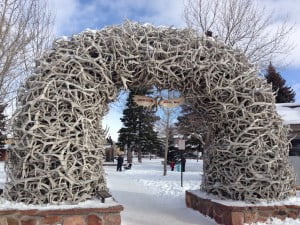 photo (4)